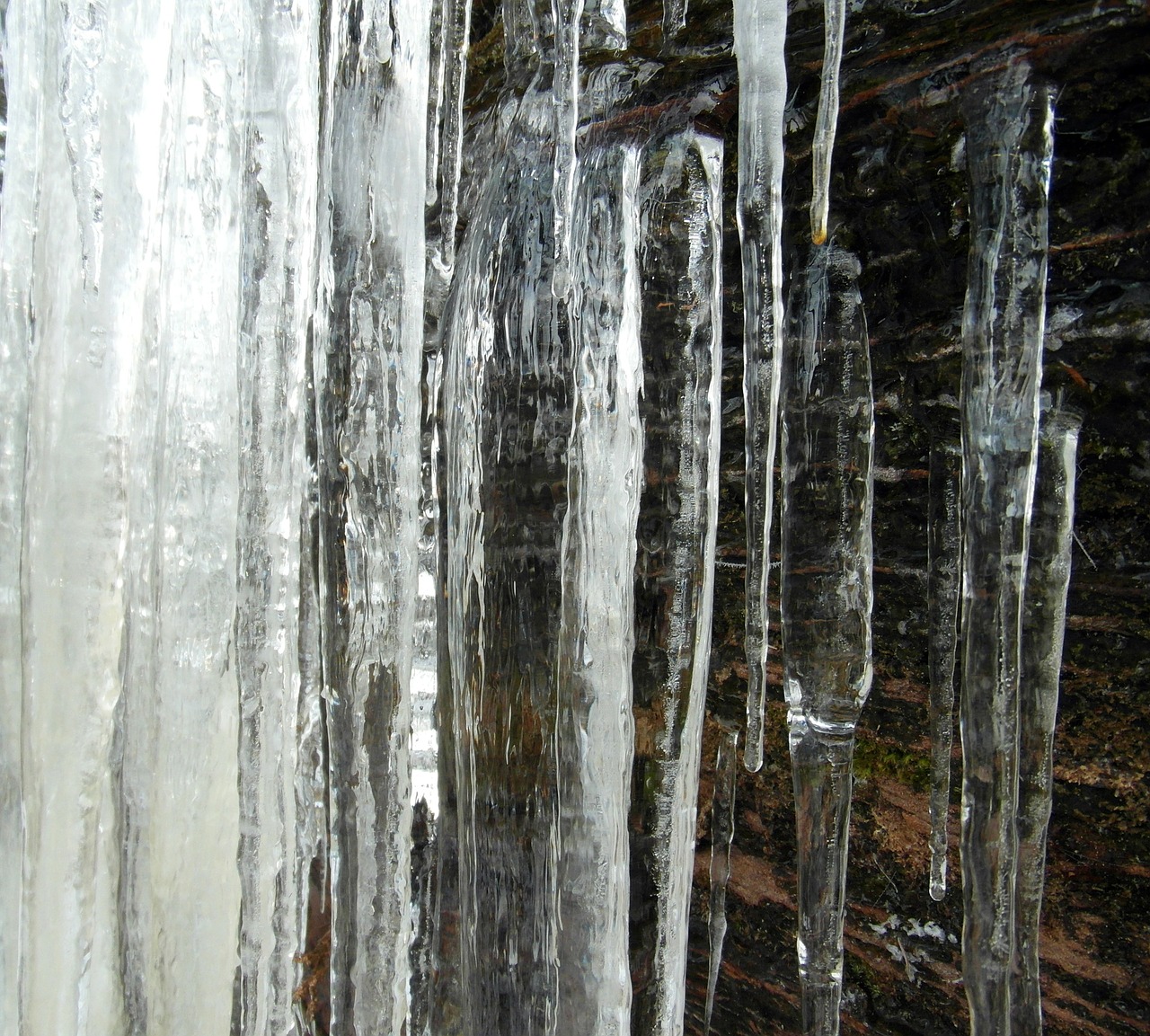 icicle winter cold free photo