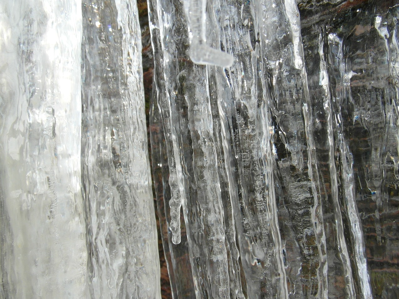 icicle winter cold free photo