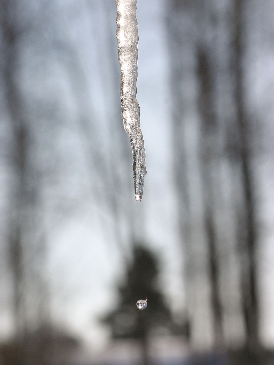 icicle winter sweden free photo