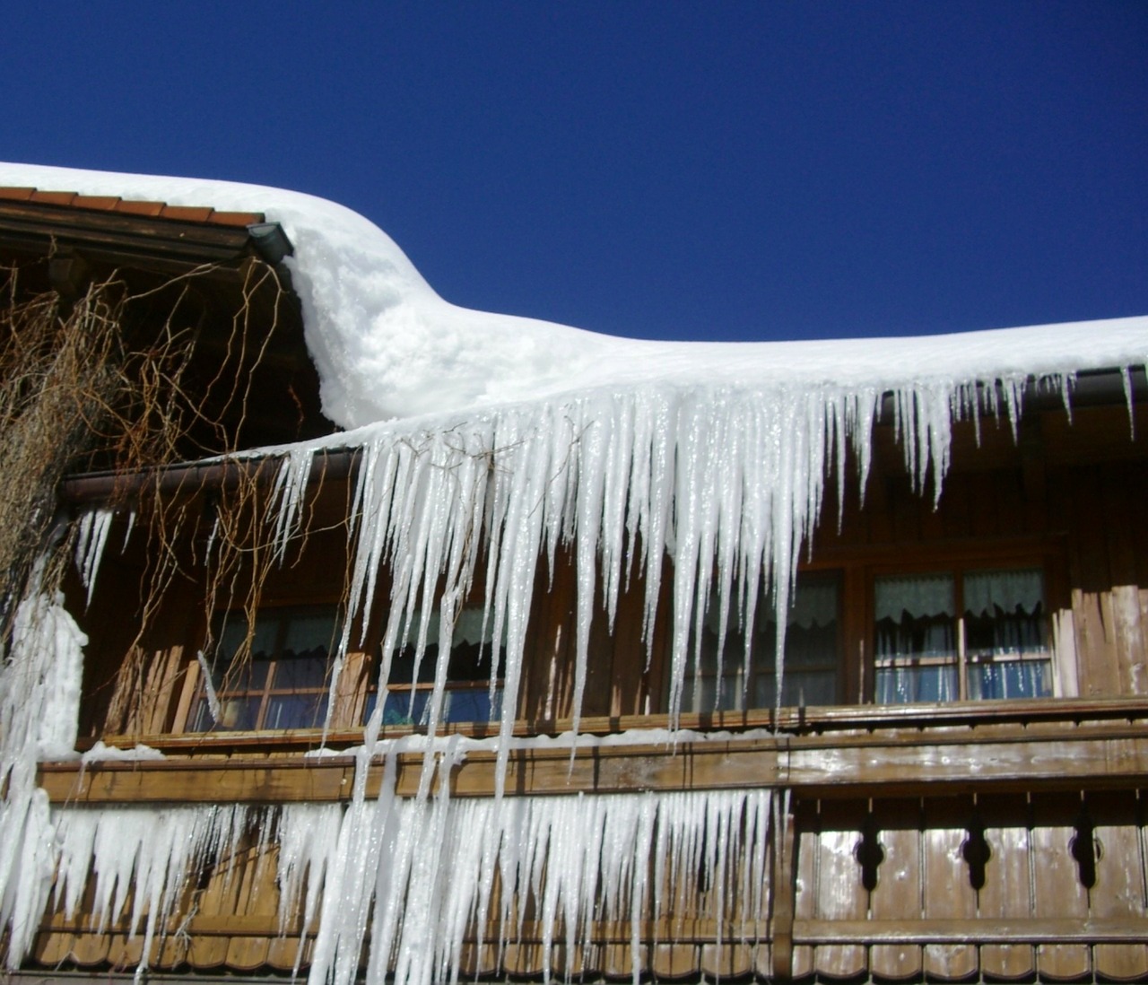 icicle vacation winter free photo