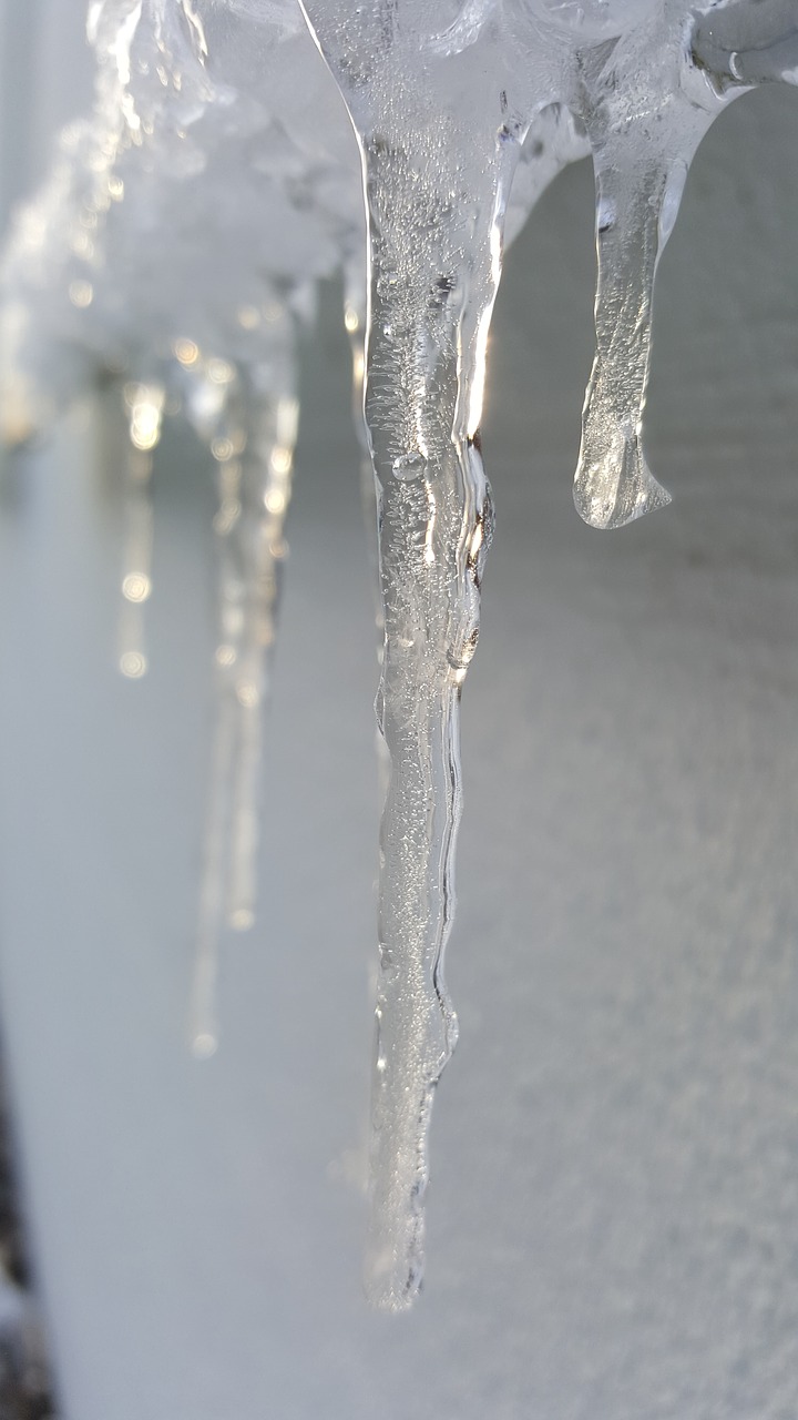 icicle wet cold free photo
