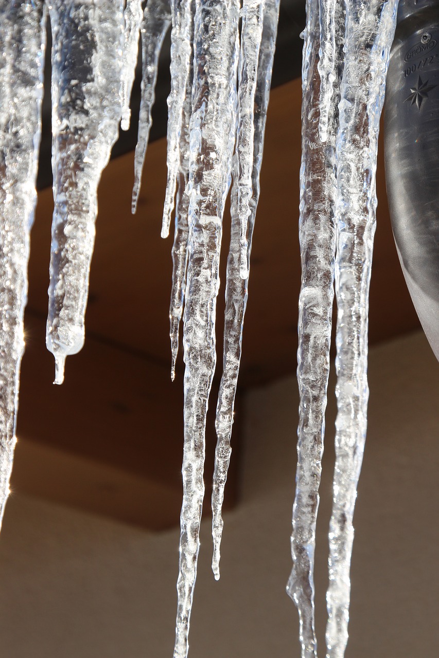 icicle  frost  background free photo