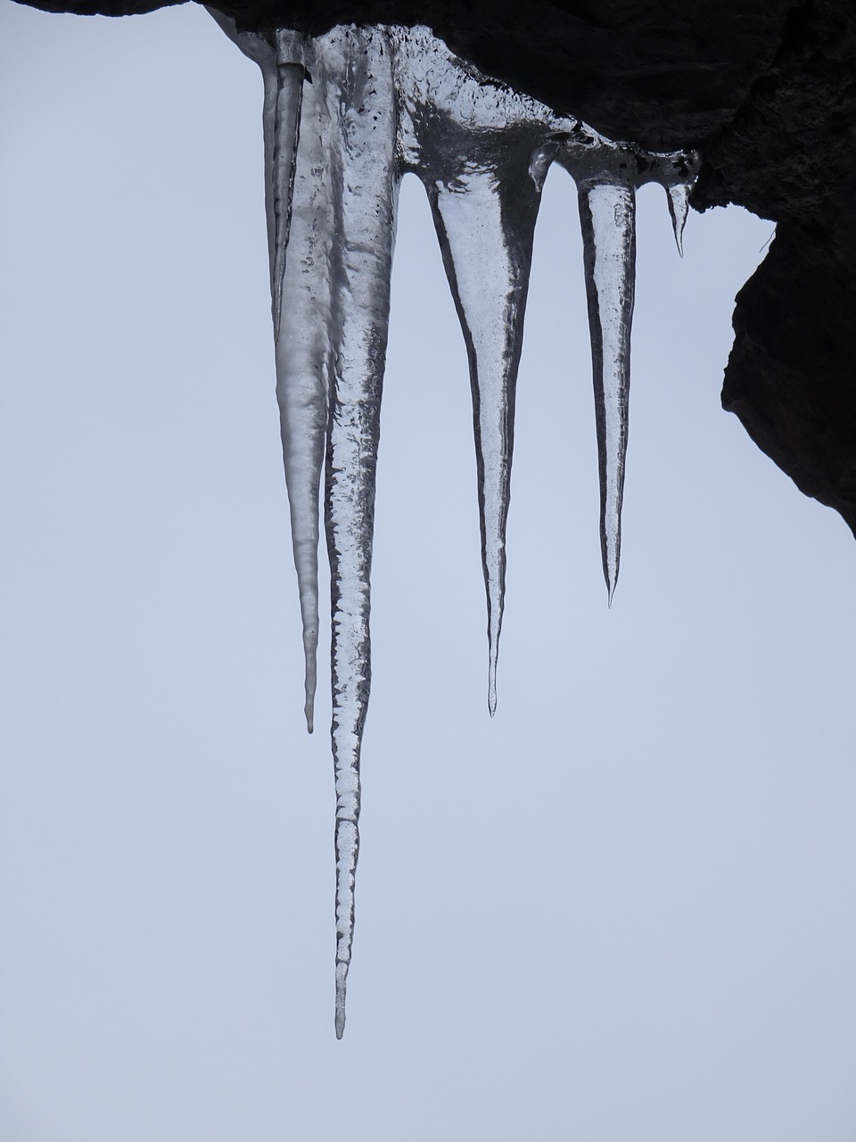 icicle  tap  ice free photo