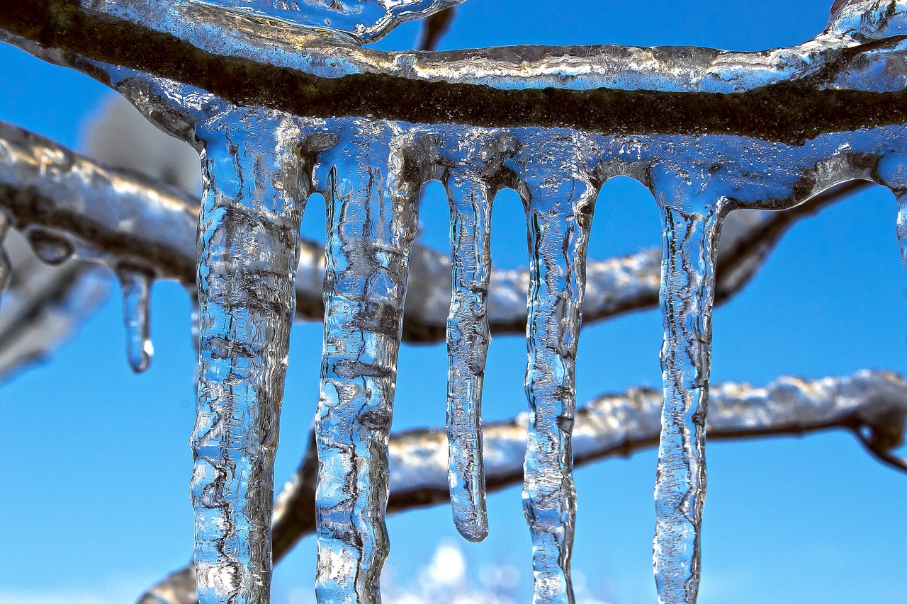 icicle  branch  winter free photo