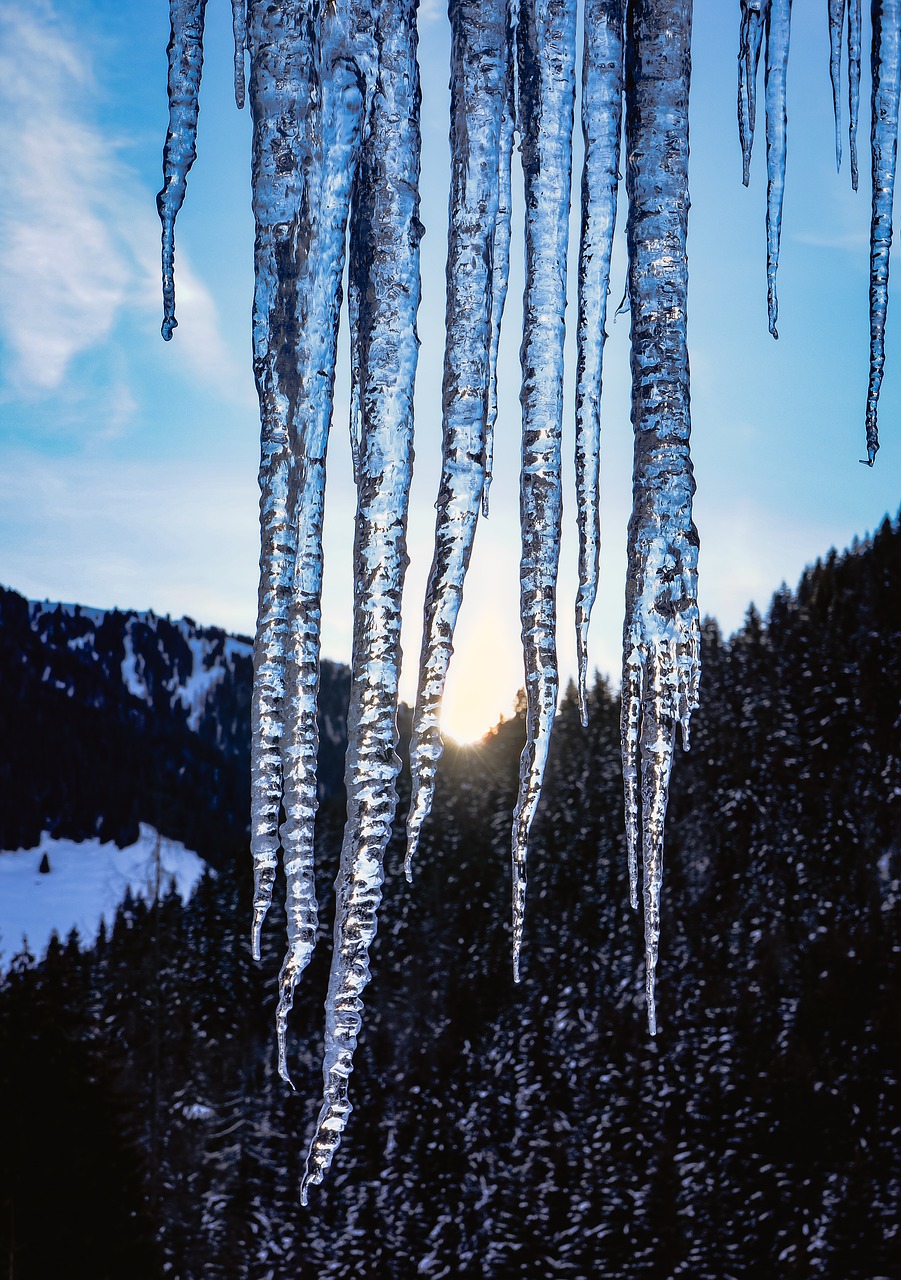 icicle  winter  frozen free photo