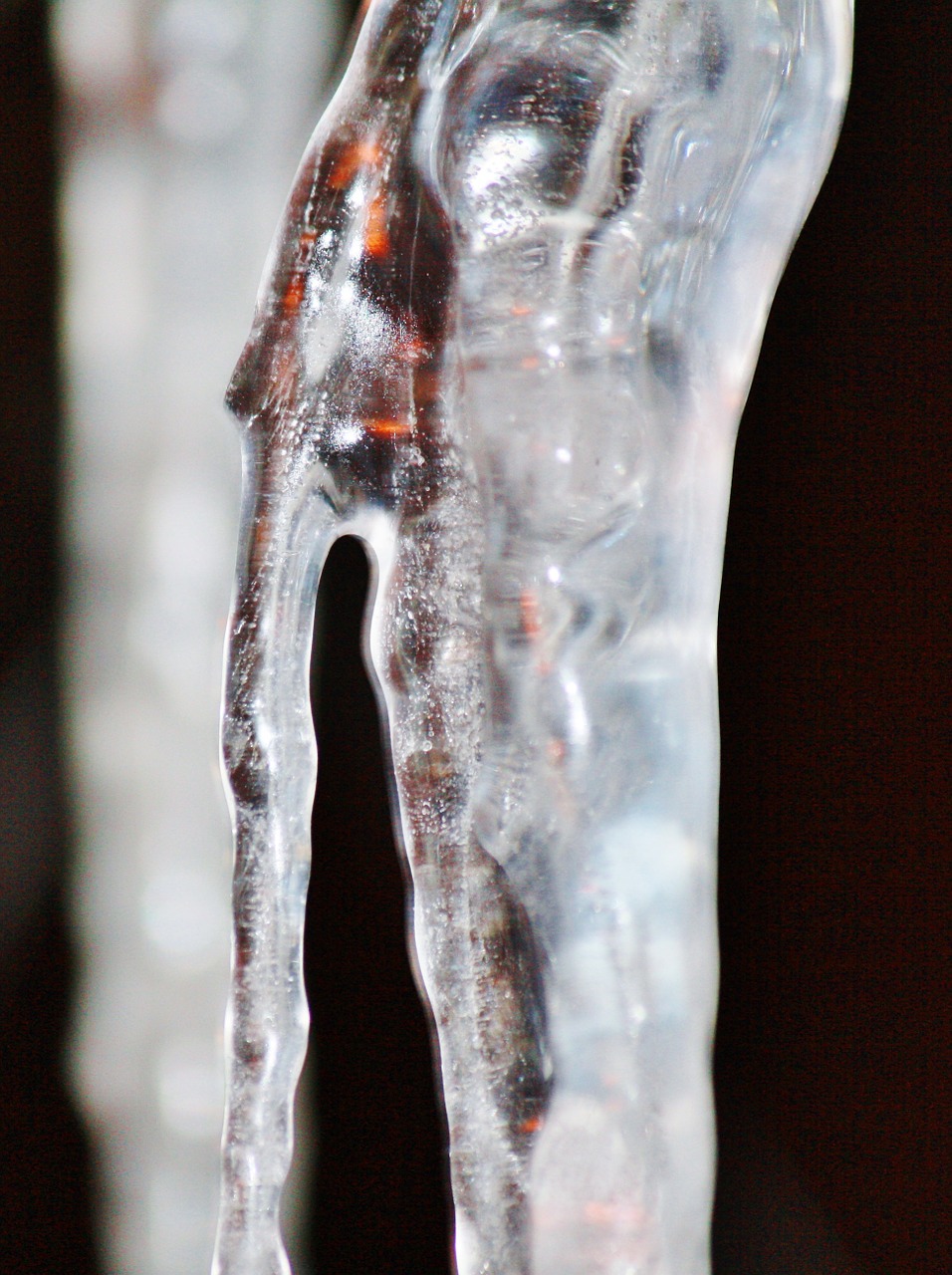 icicle cold winter free photo