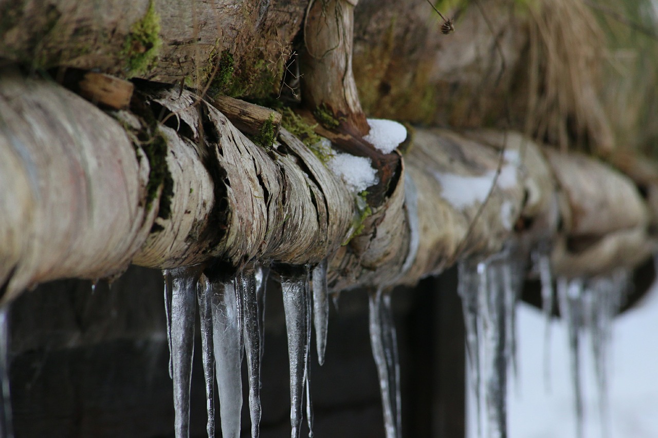 icicle wood cold free photo