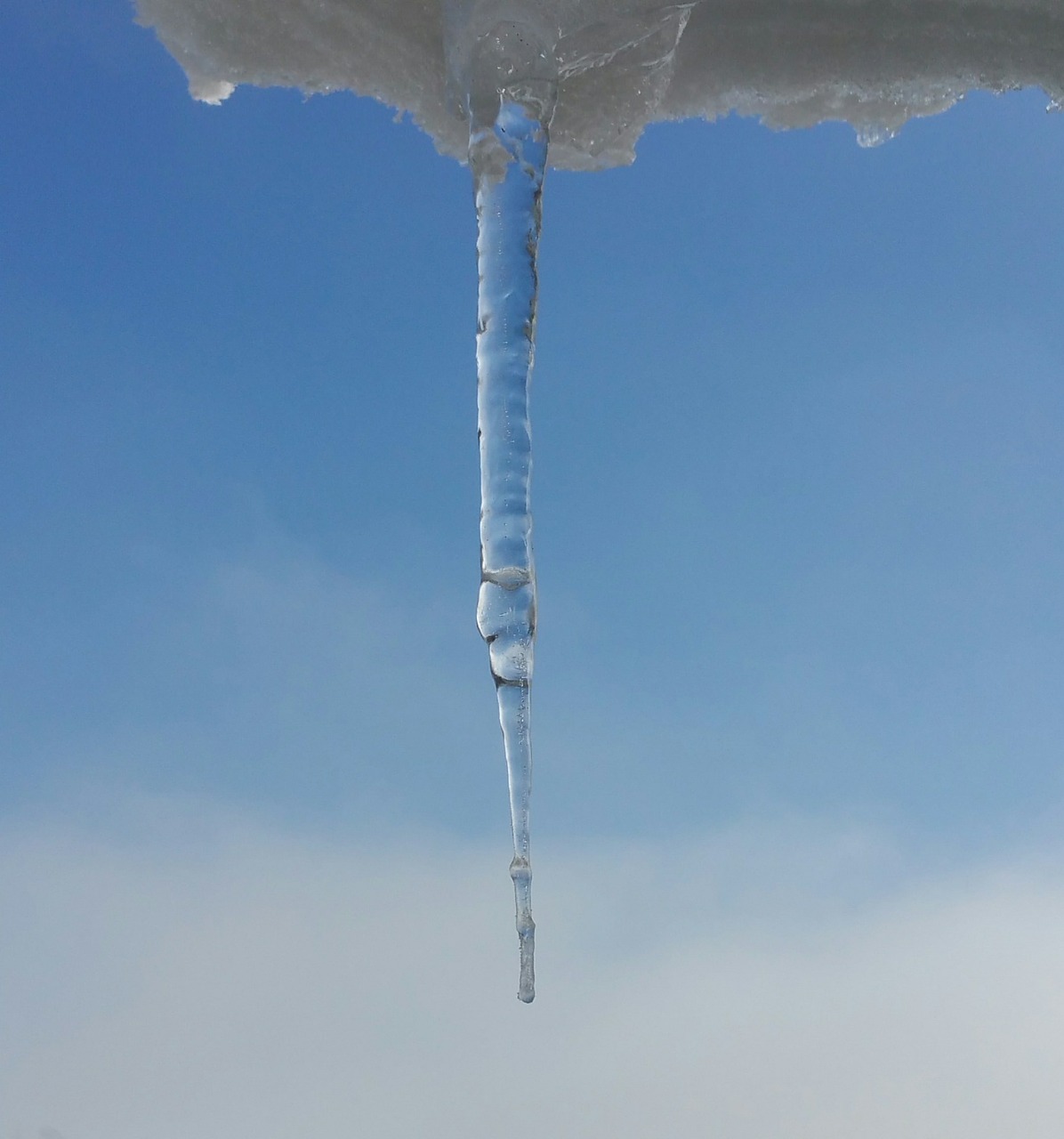 icicle winter snow free photo