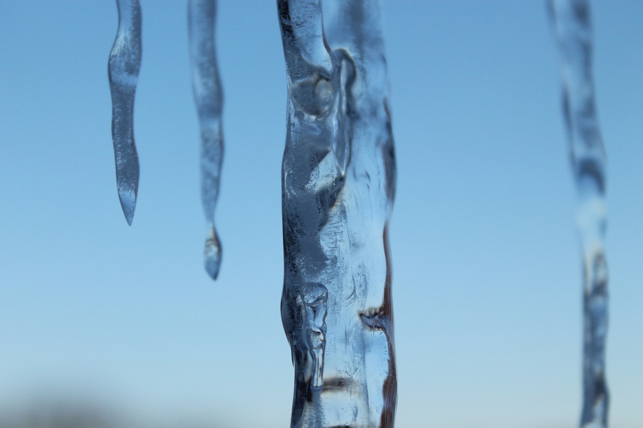 icicle frozen blue hour free photo