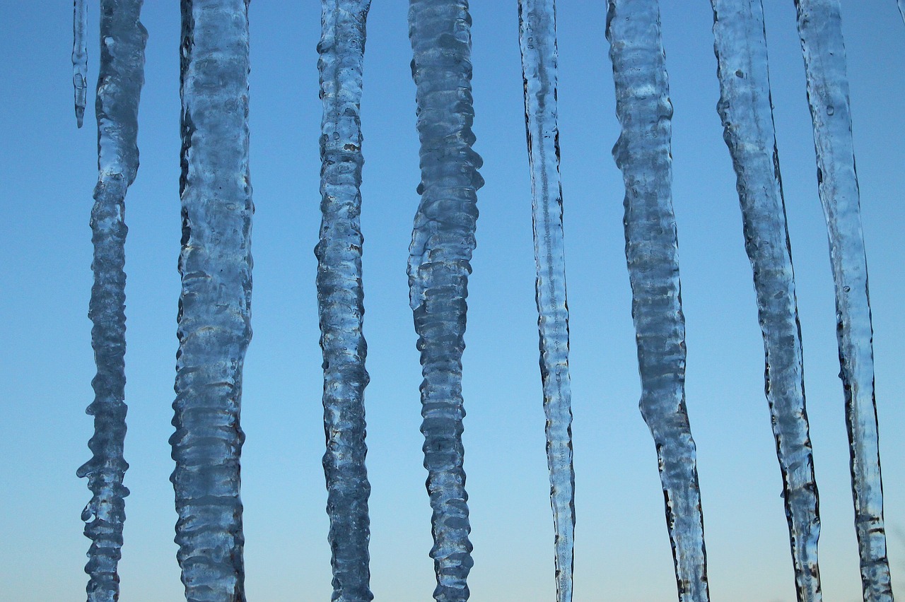 icicle frozen blue hour free photo