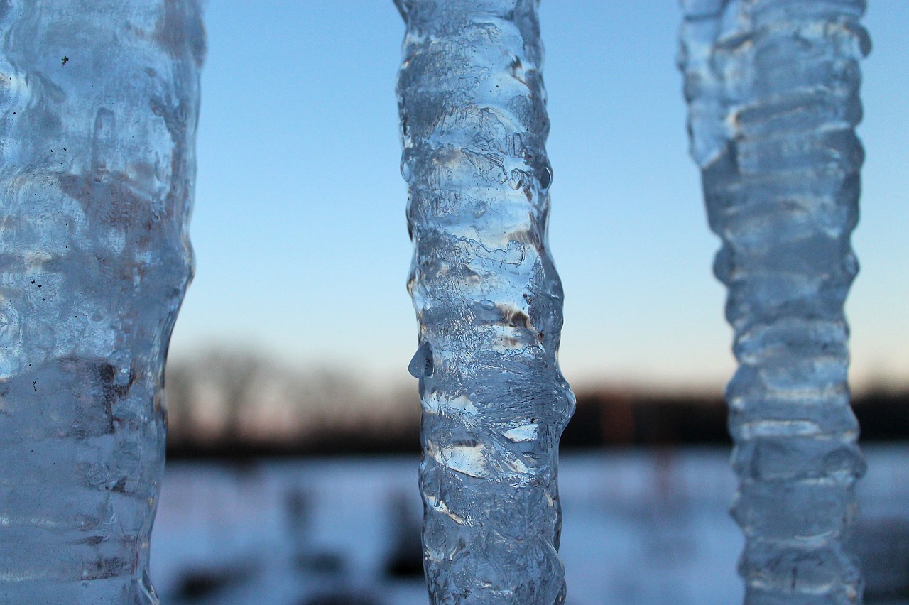 icicle frozen blue hour free photo