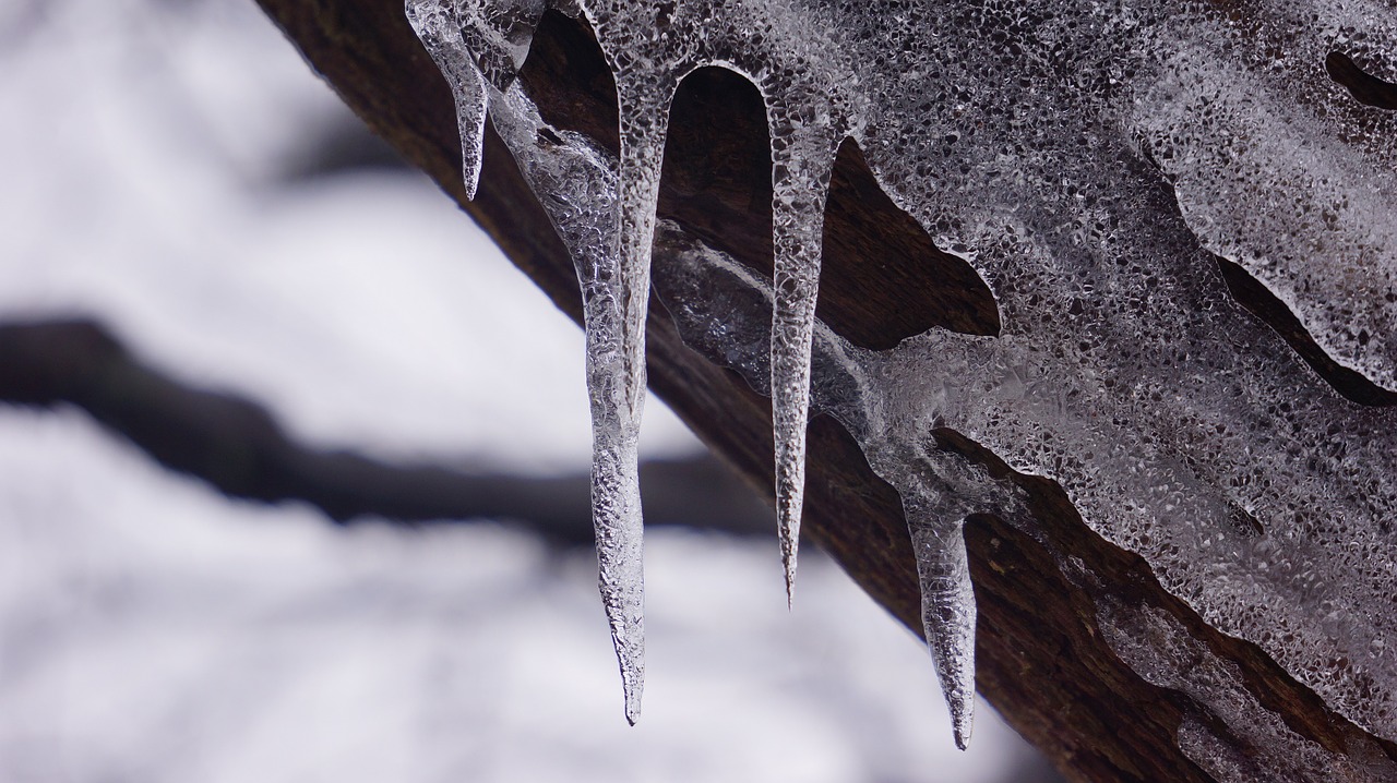 icicle ice frost free photo