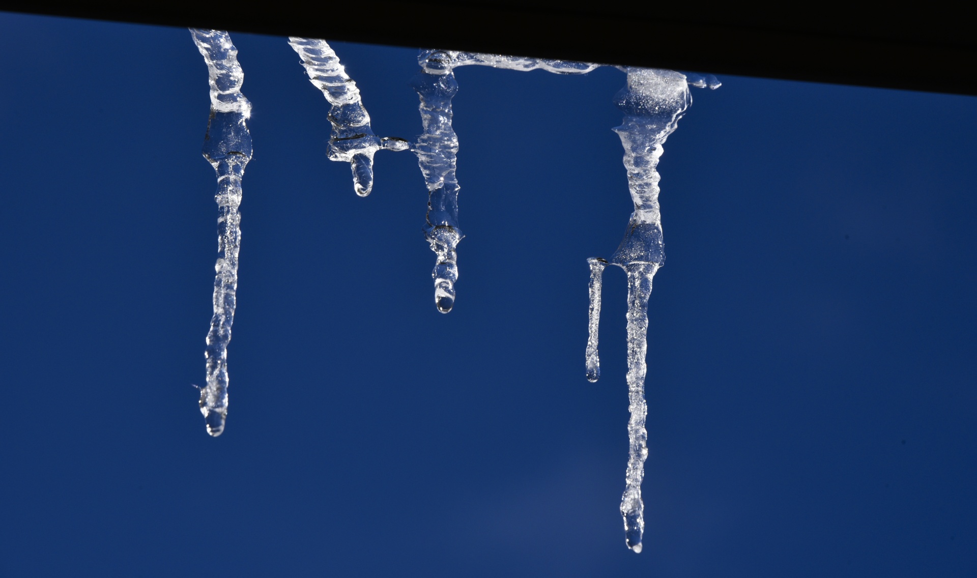 icicles hanging bent free photo