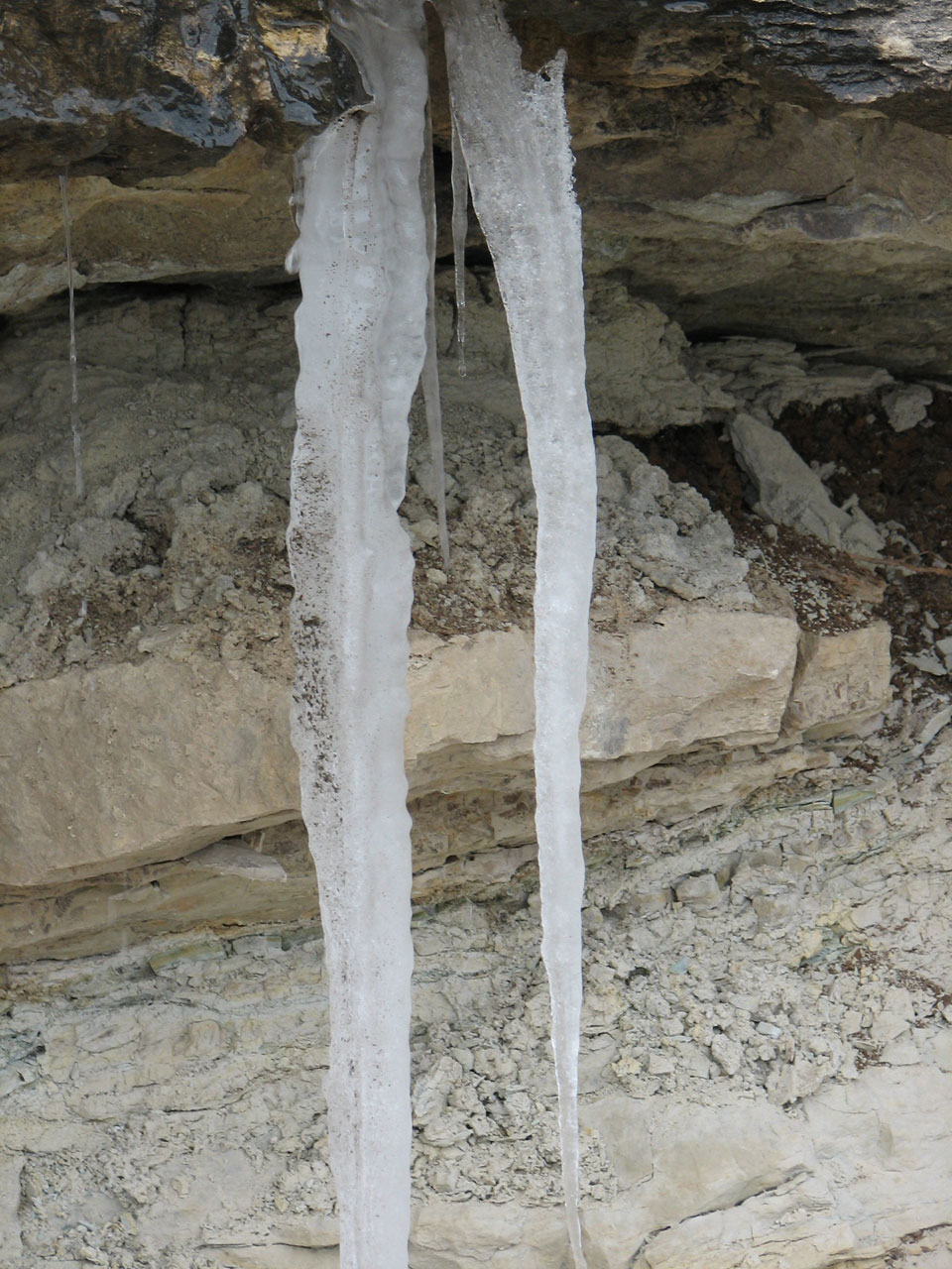 icicle water drip free photo