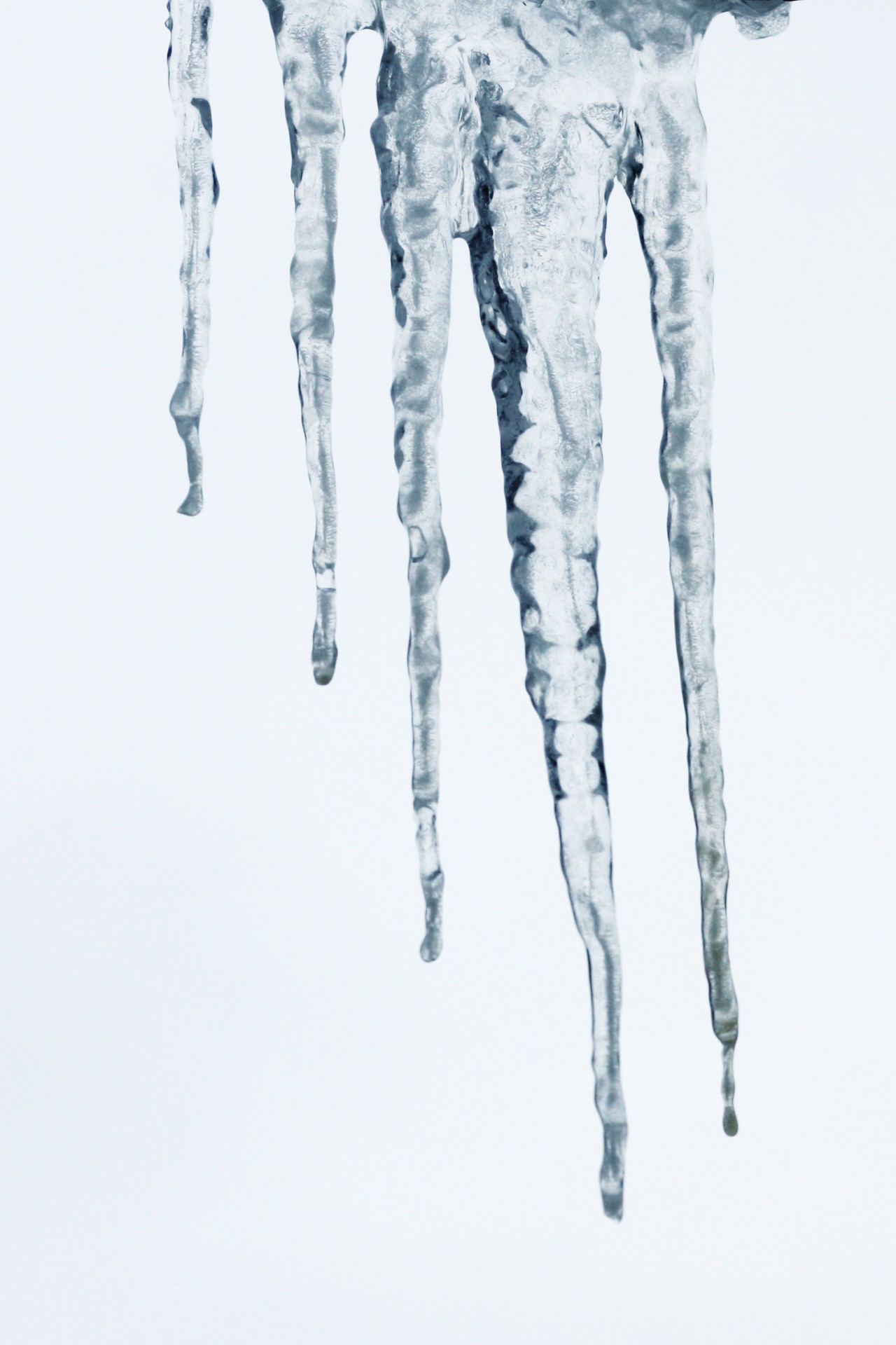 icicles winter cold free photo