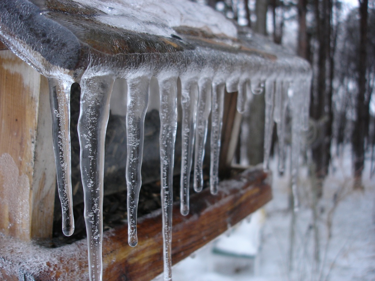 icicles frozen cold free photo