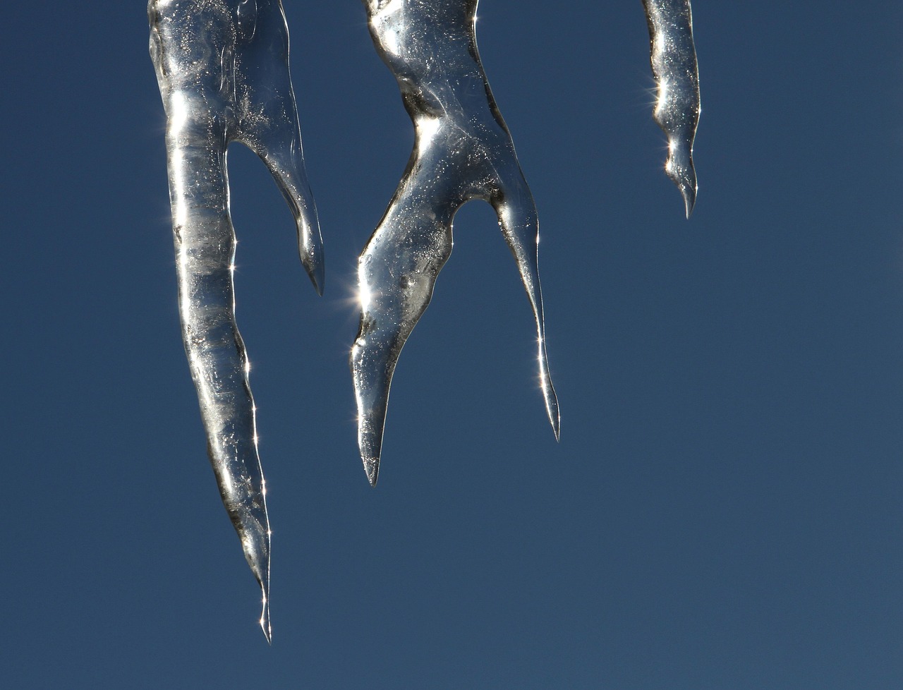 icicles dripping ice free photo