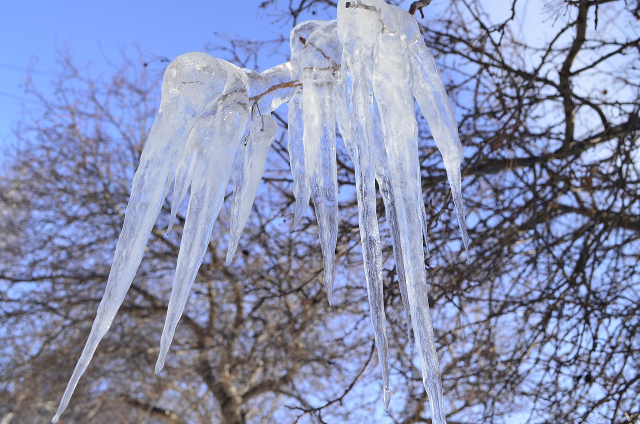 icicles thaw spring free photo