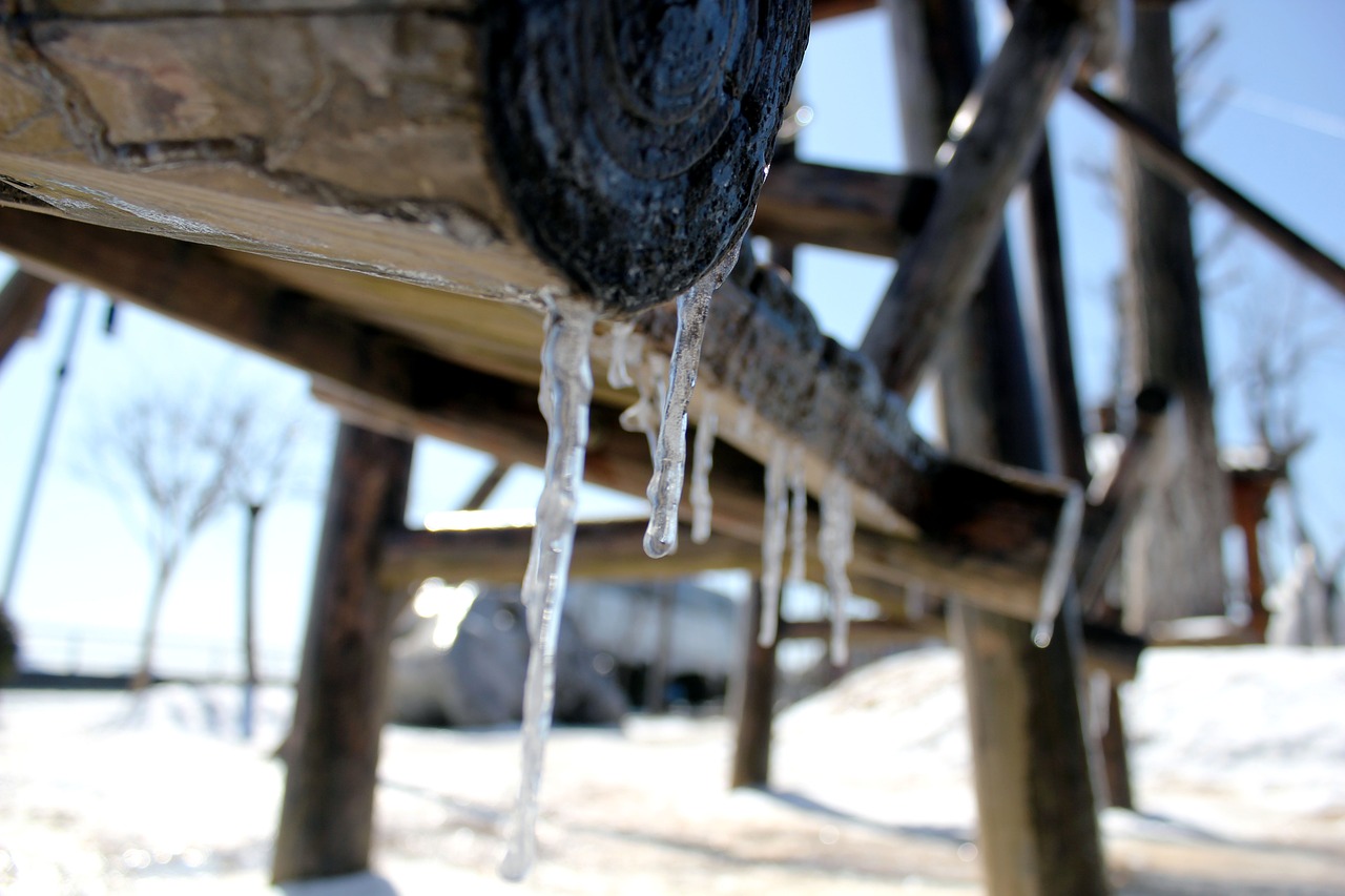icicles swing winter free photo