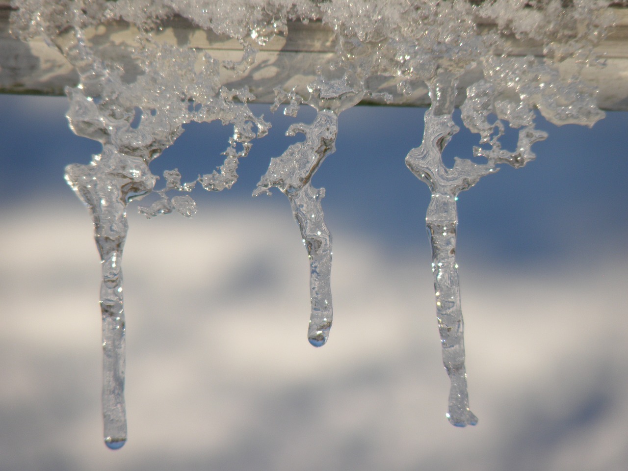 icicles snow winter free photo