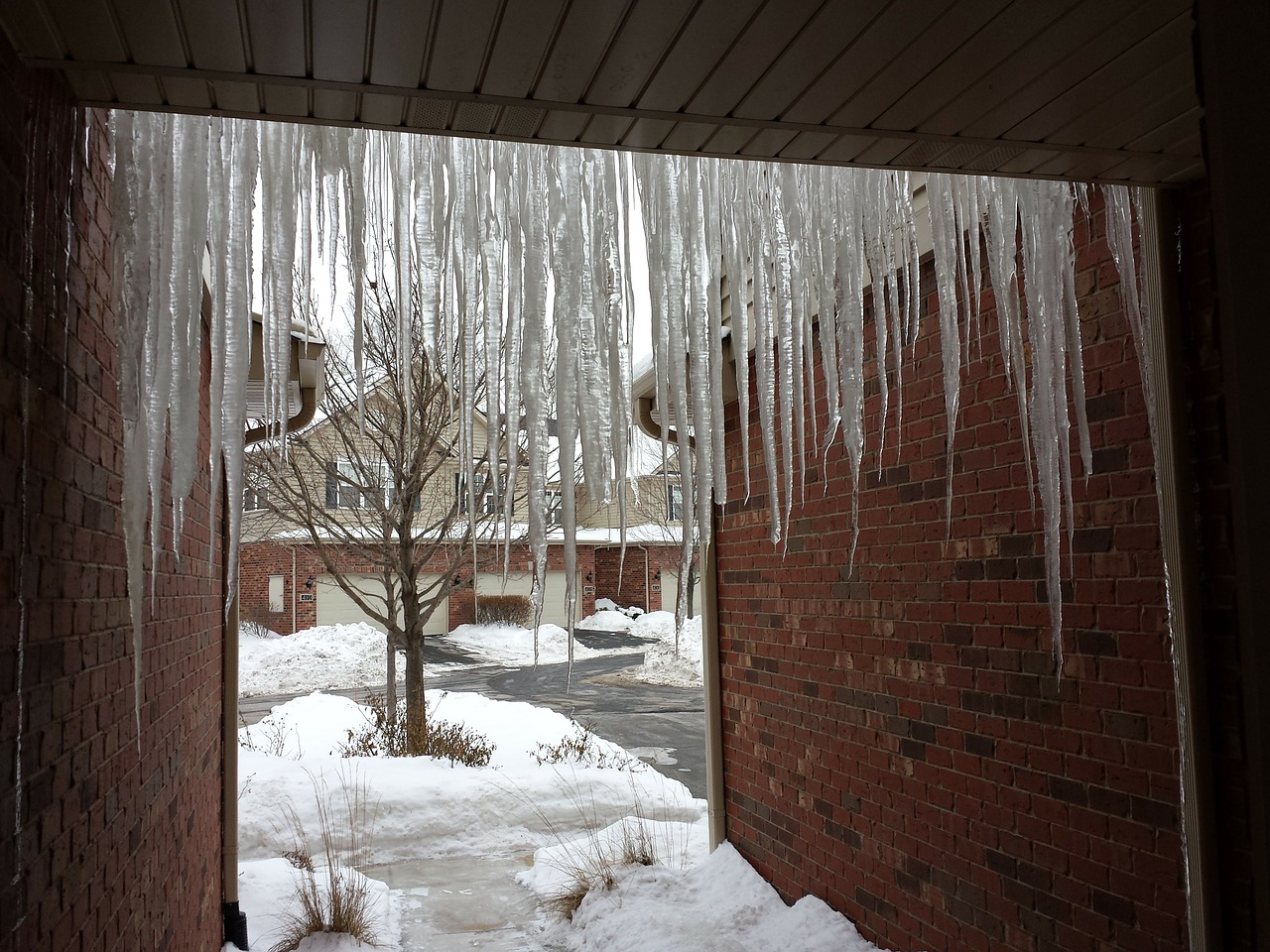 icicles cold ice free photo