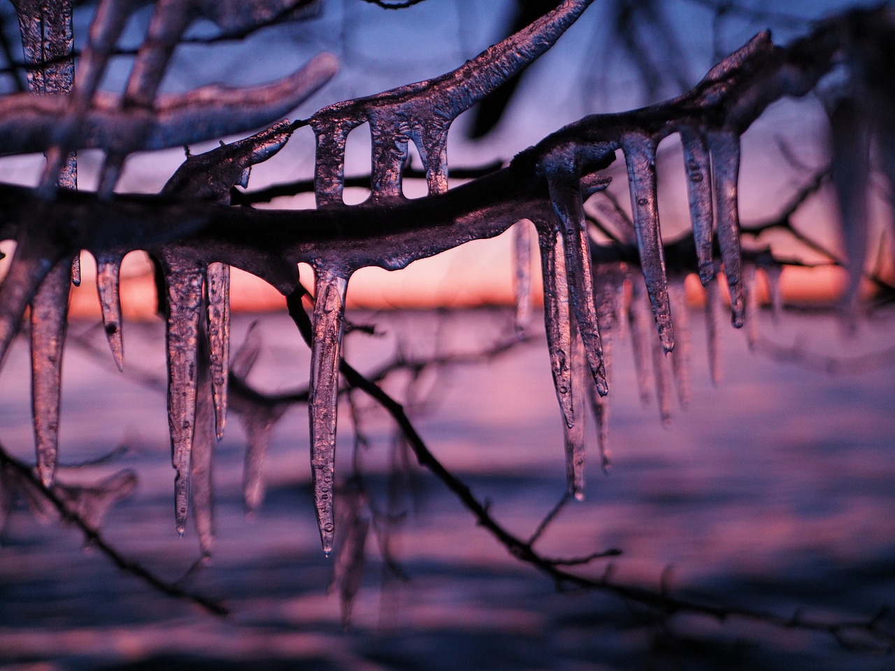 icicles  winter  ice free photo