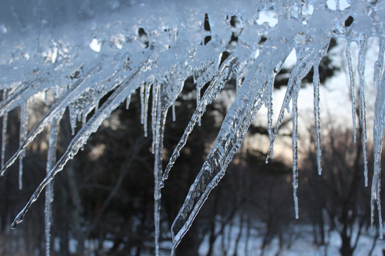 icicles  winter  cold free photo