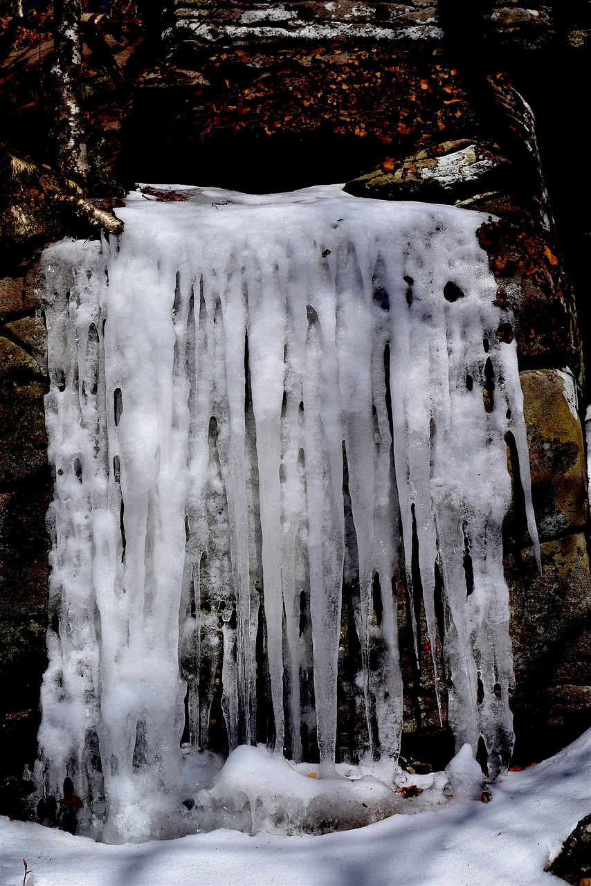 icicles  winter  ice free photo