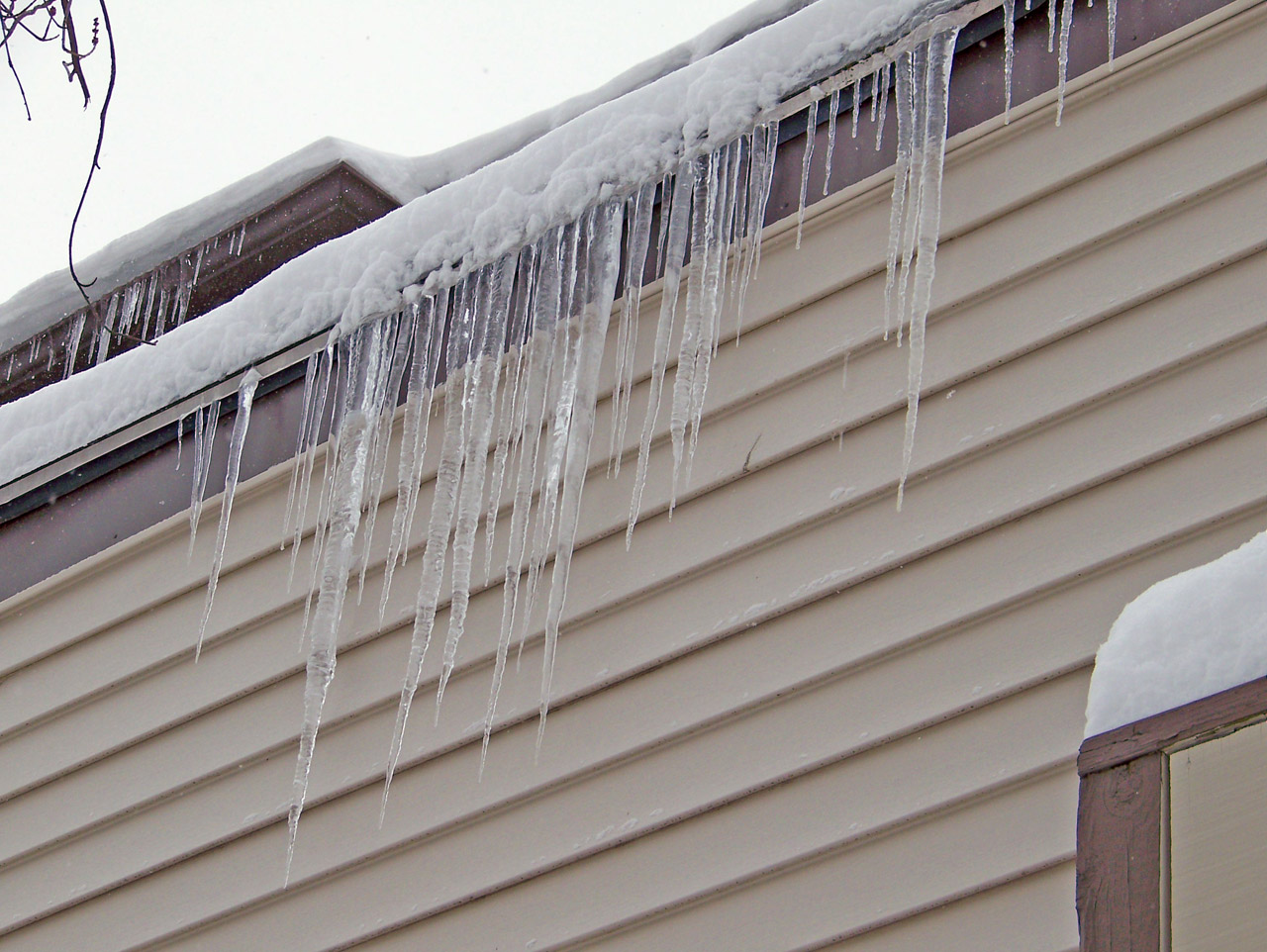 icicles snow cold free photo