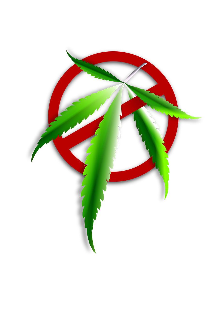 icon characters marijuana free photo