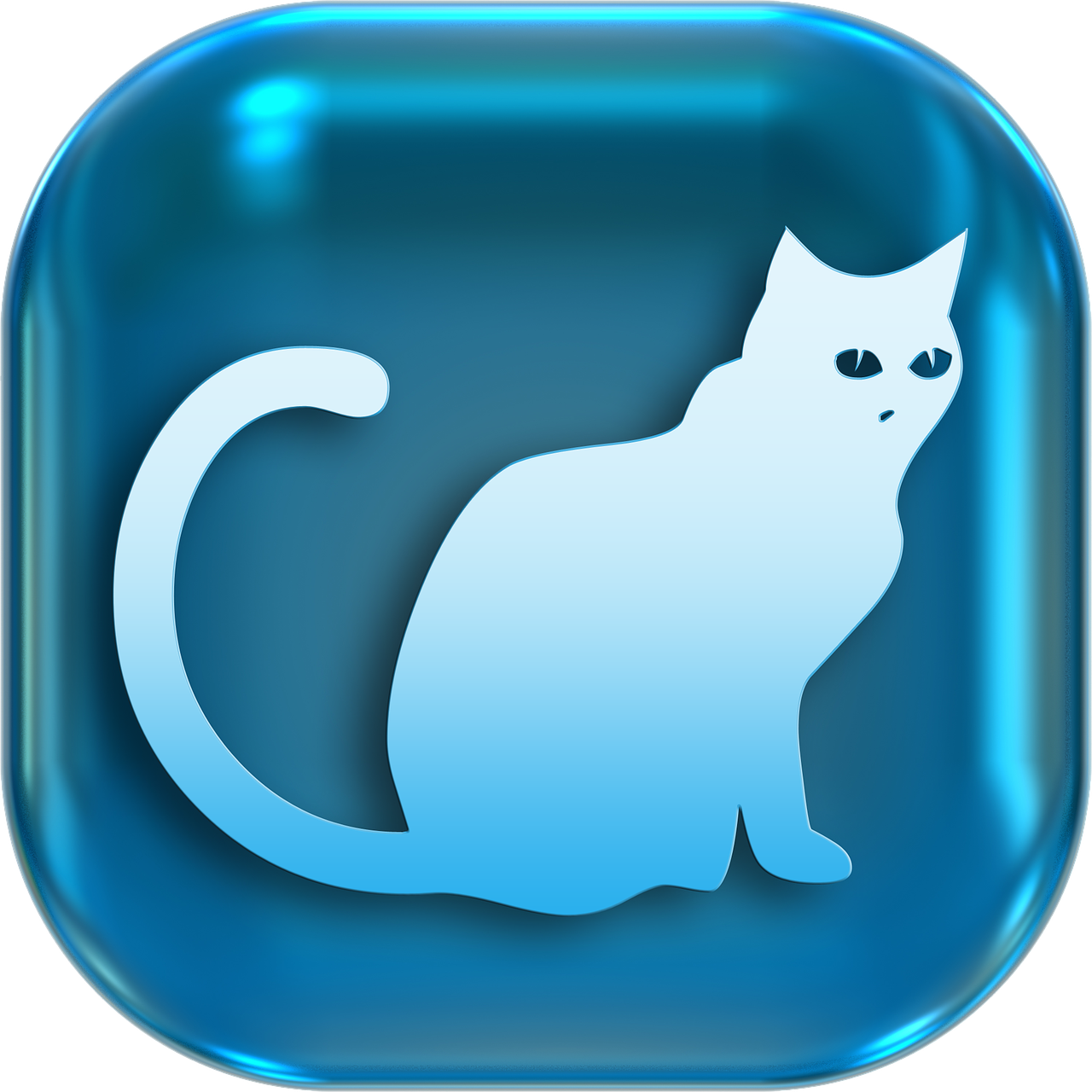 icons symbols cat free photo