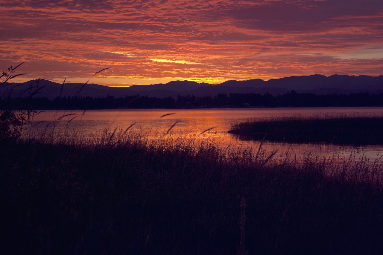 idaho water lake free photo