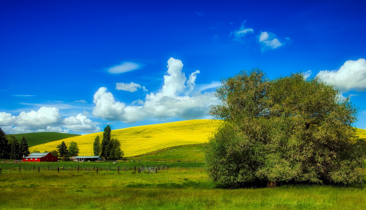 idaho  america  farm free photo