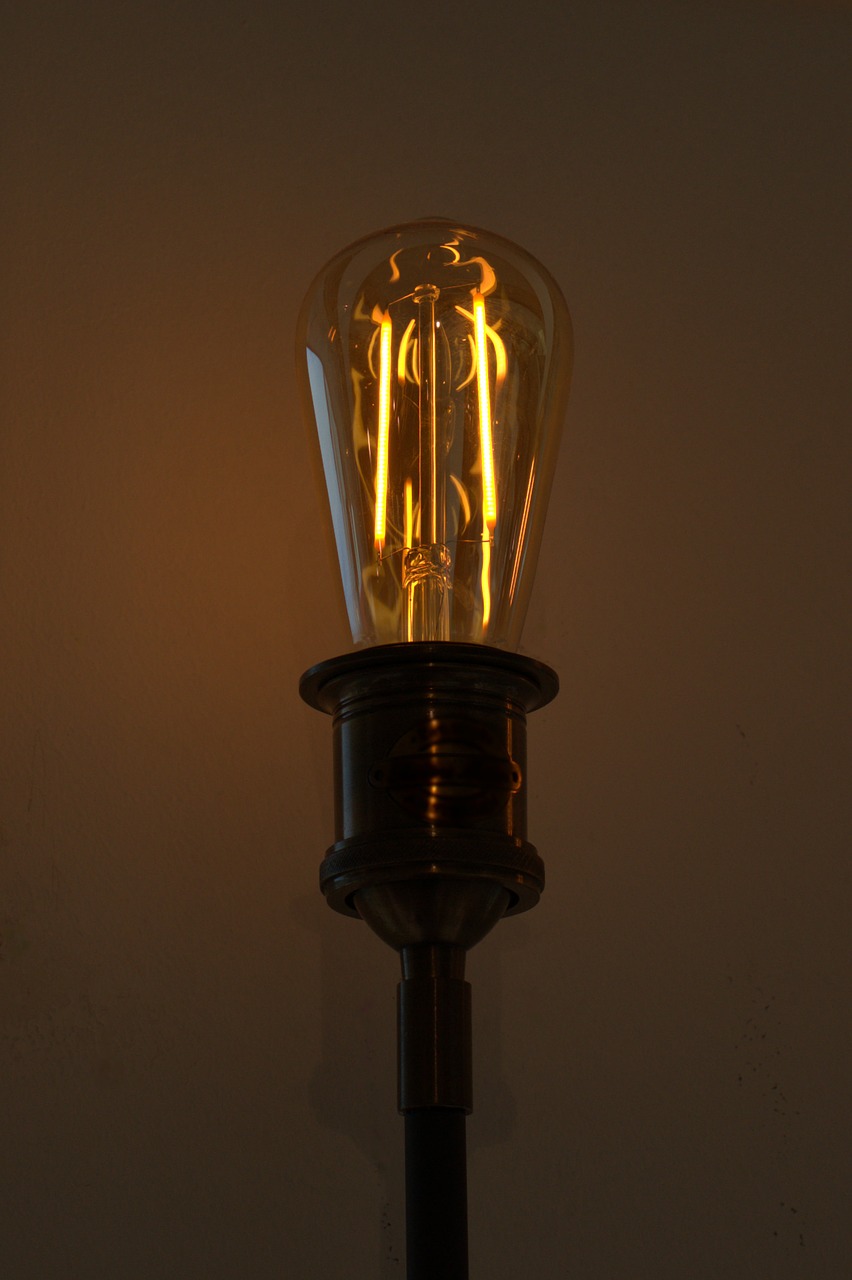 idea  pear  light bulb free photo