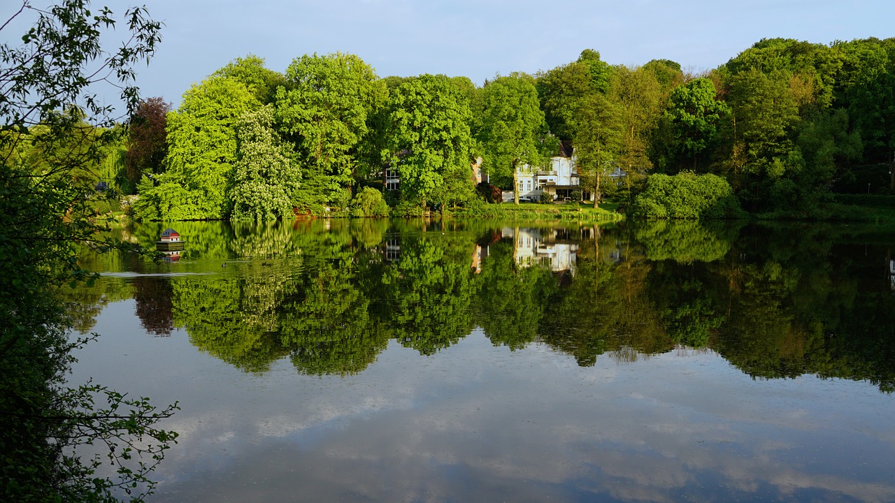 idyll boy green spring free photo