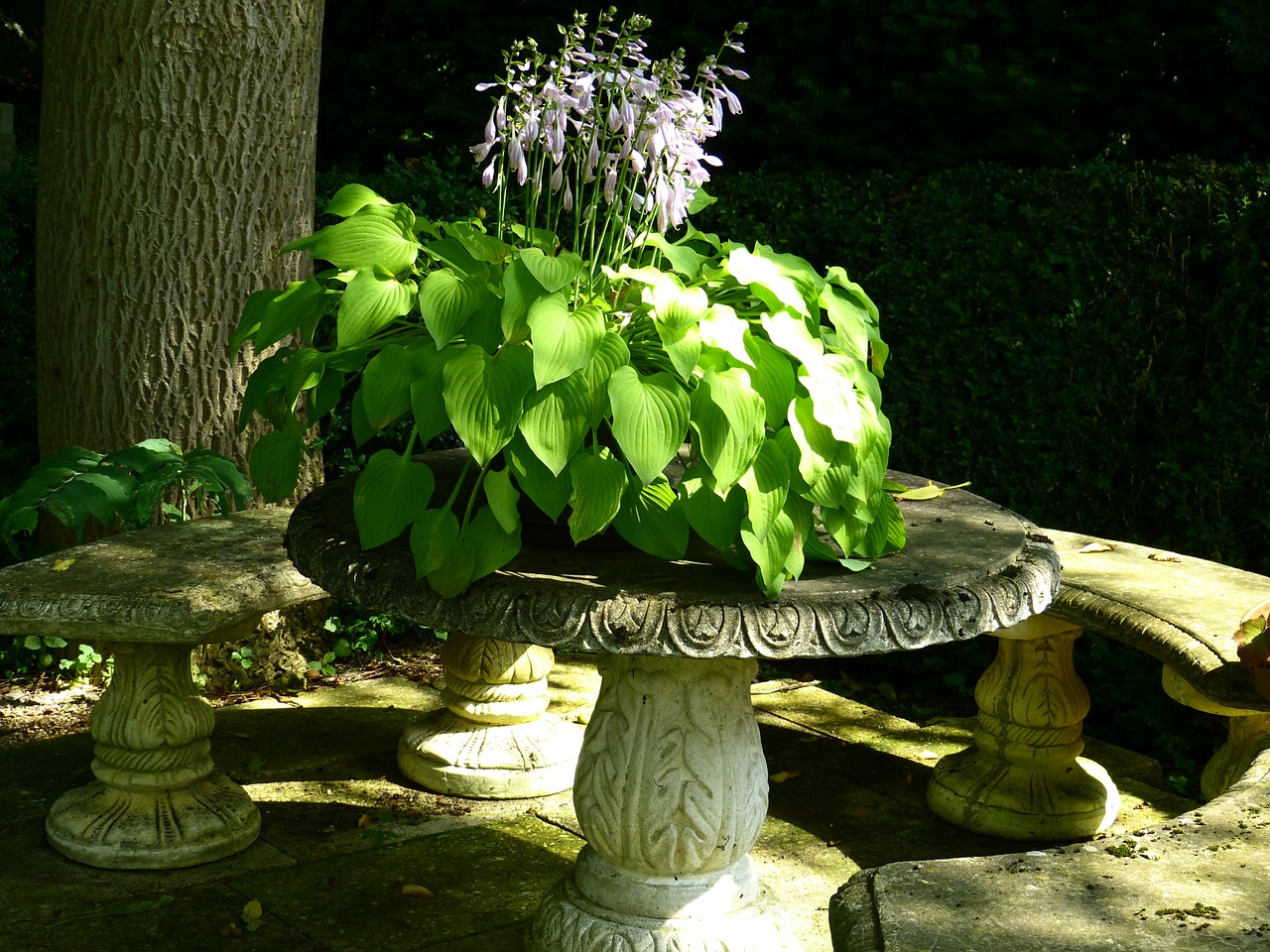 idyll garden bench stone table free photo