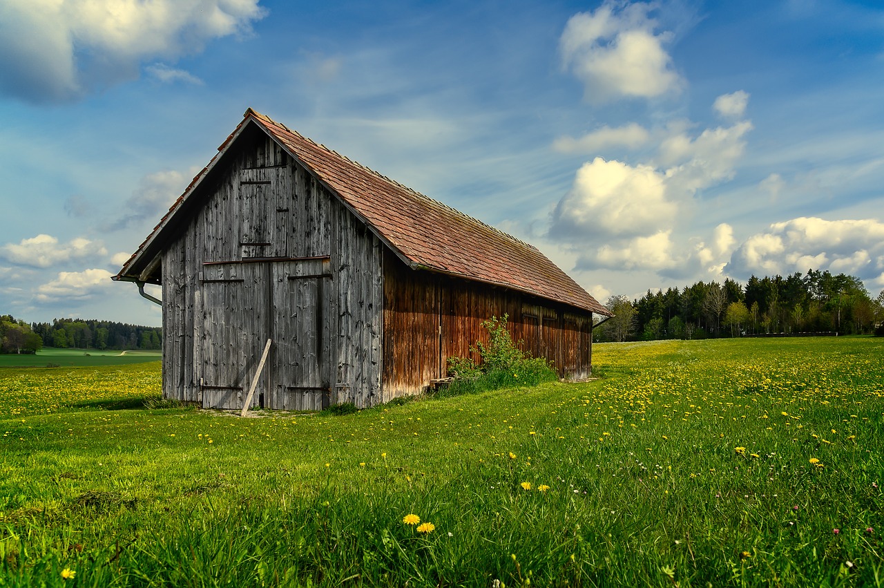 idyll  rural  landscape free photo