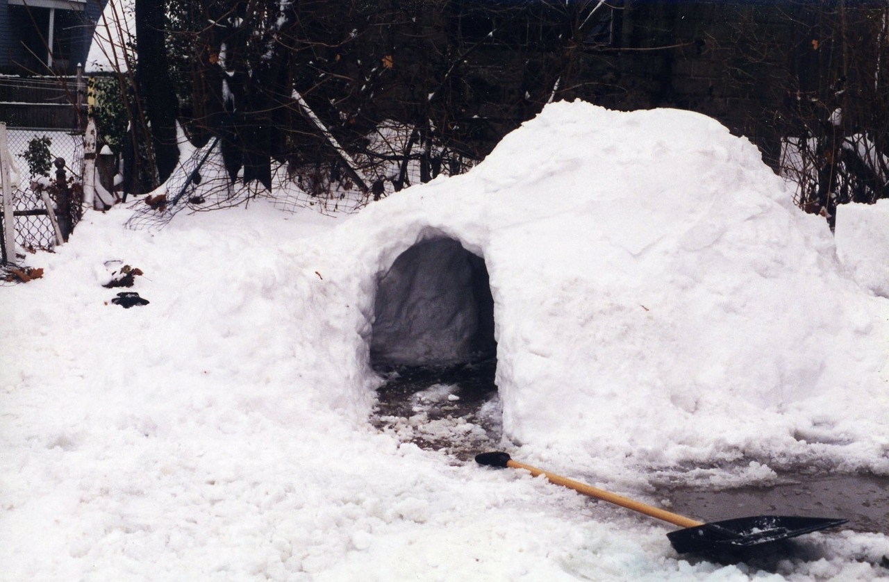igloo snow fort free photo