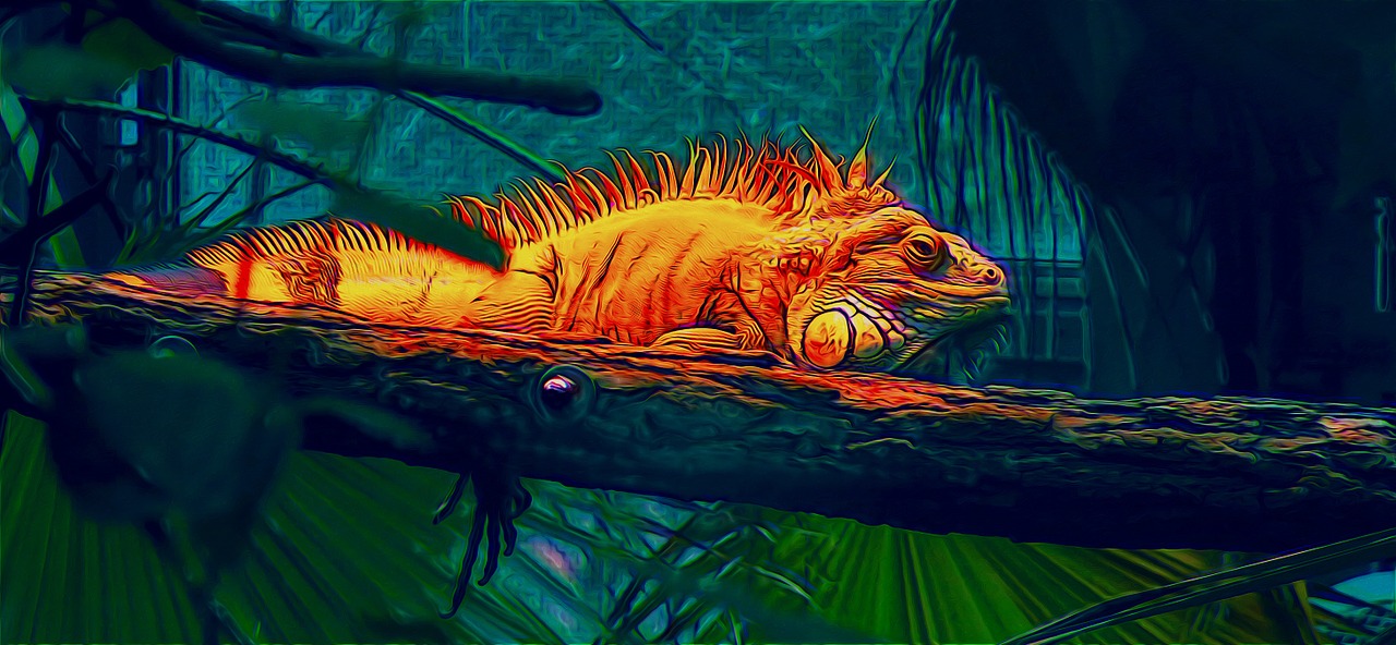 iguana iguana painting jungle free photo