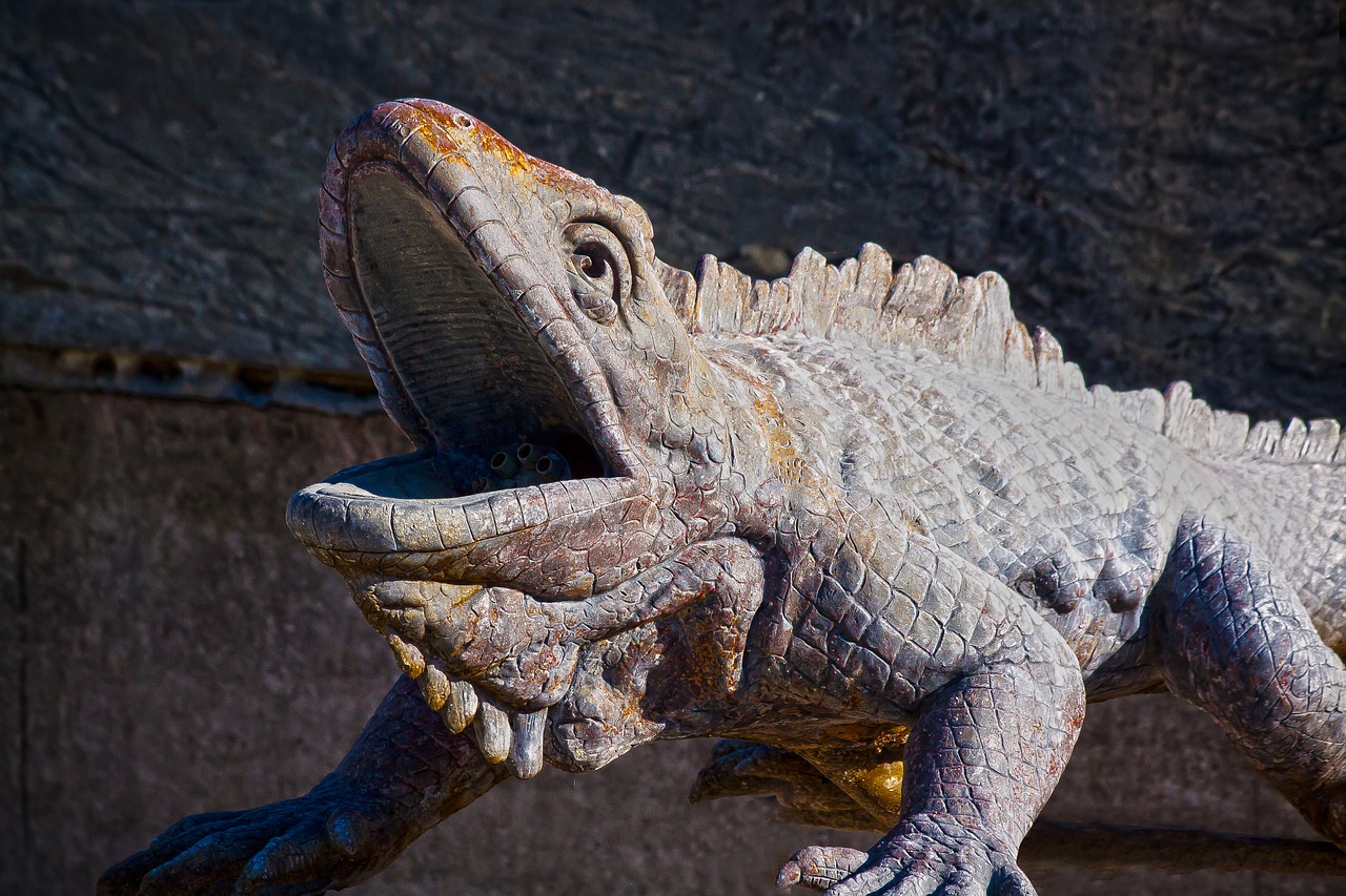 iguana  manneken  lizard free photo
