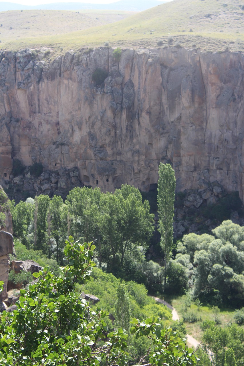 ihlaravalley cappadocia tree free photo