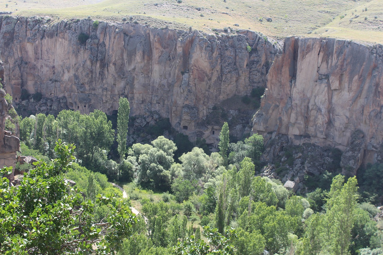 ihlaravalley cappadocia tree free photo