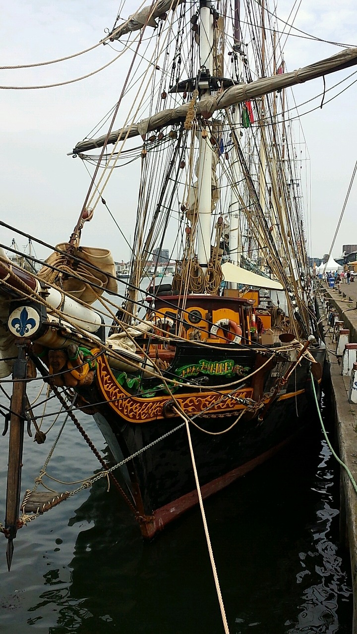 ijmuiden sailing boat french lily free photo