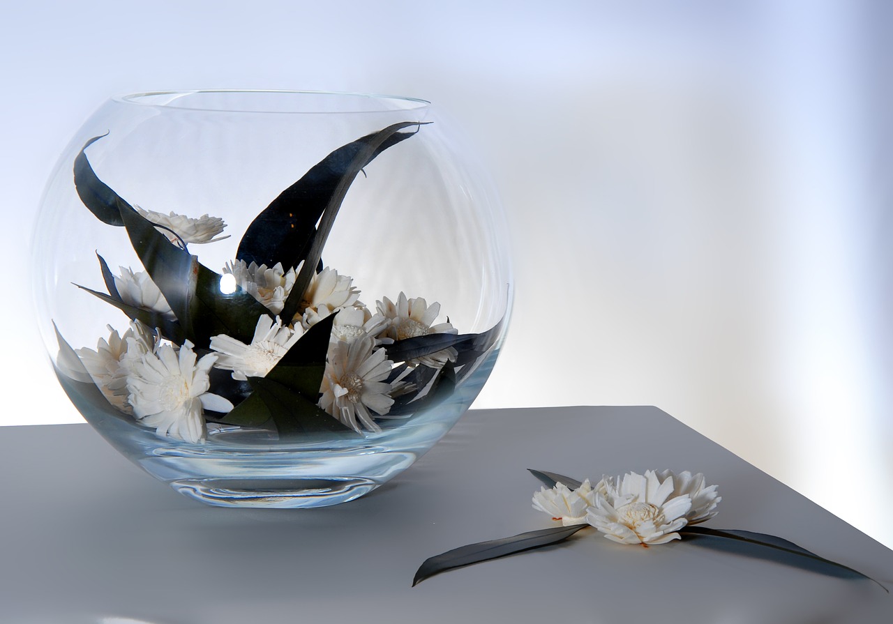 ikebana daisy vase free photo
