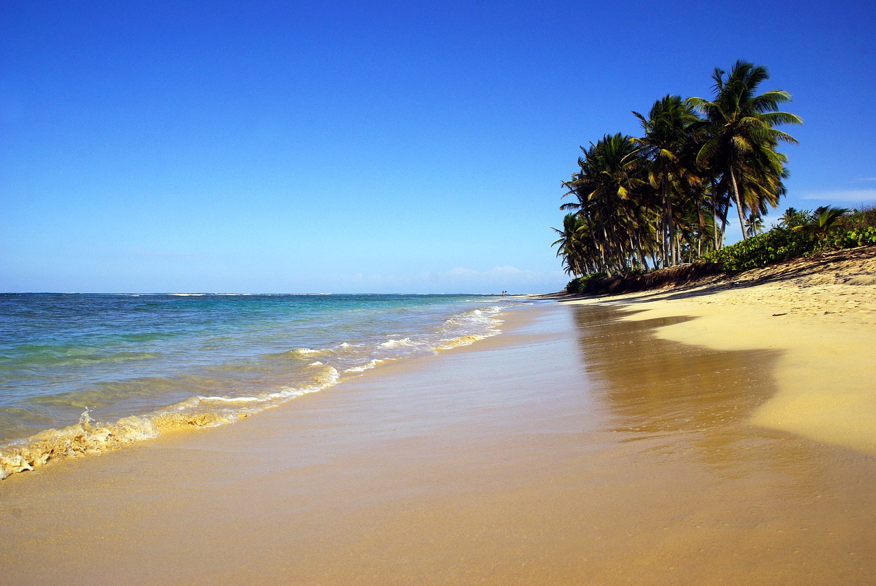 ile beach tropics free photo