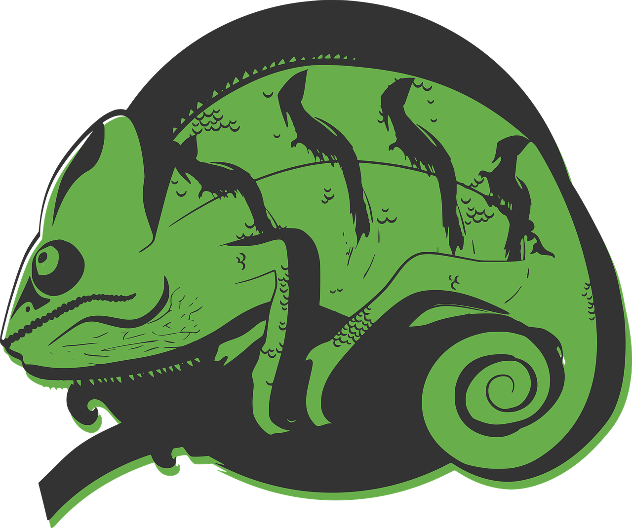 illustration chameleon green free photo