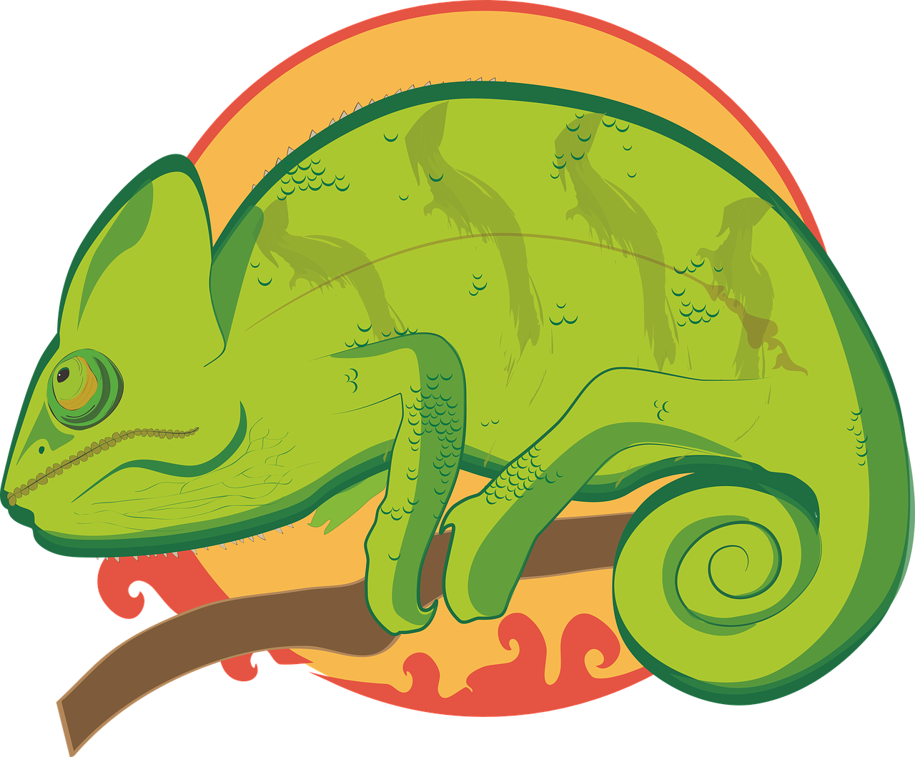 illustration chameleon colorful free photo