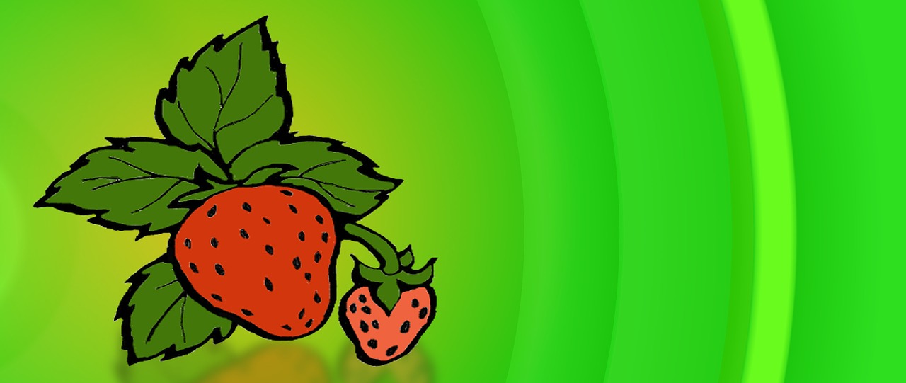 illustration banner strawberry free photo