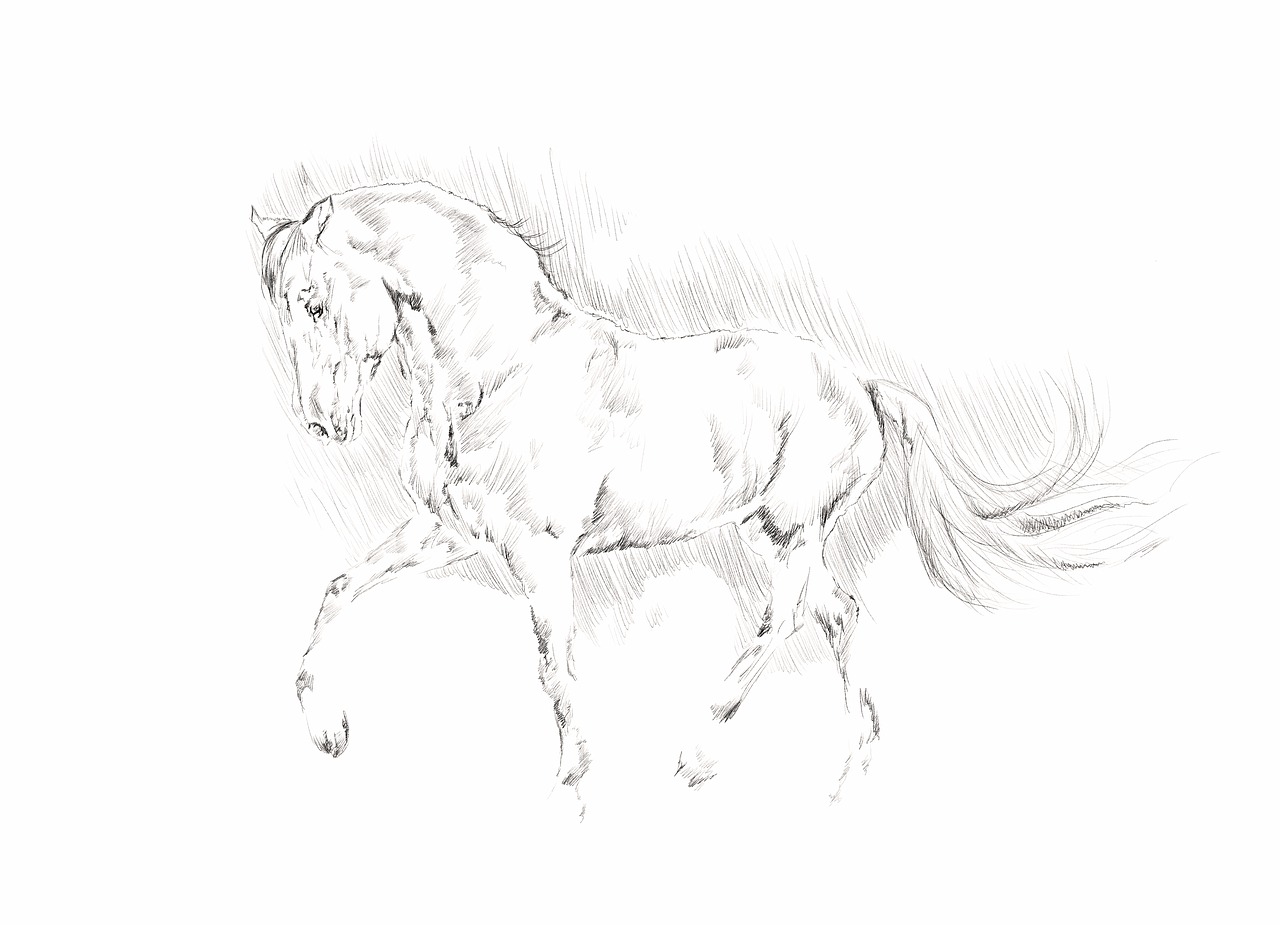 illustration horse animal free photo