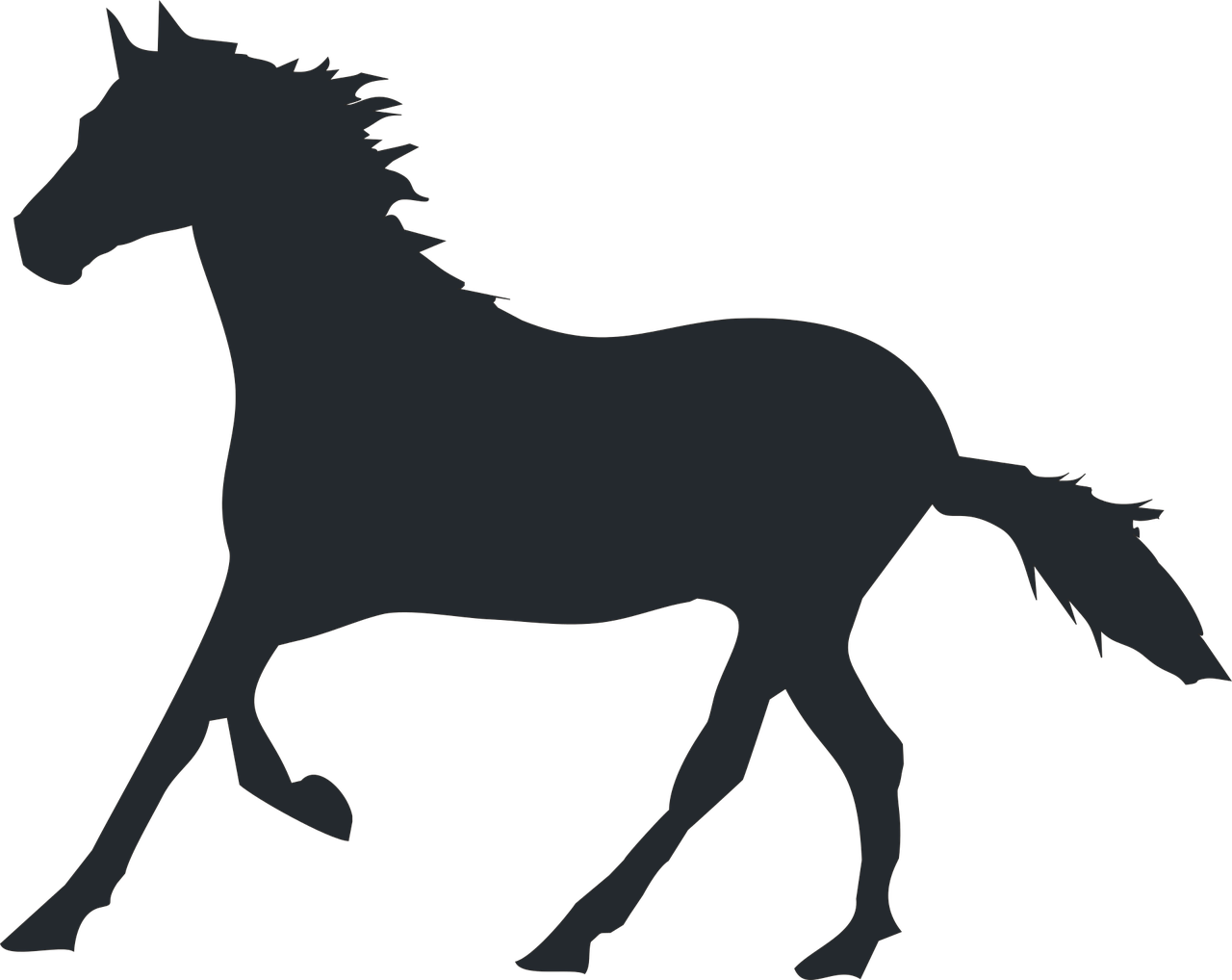 illustration the silhouette stallion free photo